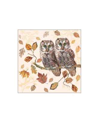Servetele de masa, 20 buc, 33x33 cm, Owl Couple - AMBIENTE